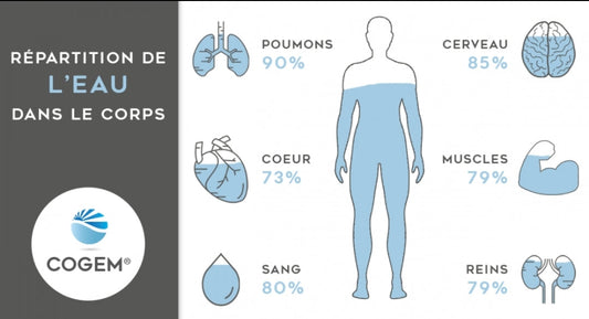 Hydratation et sport : pourquoi boire plus peut transformer tes performances